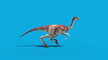 Jurassic World Gallimimus Walkcycle Side Blue Screen 3D Canlandırma