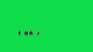 Atlar Grubu Yeşil Ekran Önü 3D Canlandırmaları CGI 4K oluşturarak çalışır