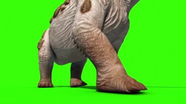 Dinozor Titanosaur Yürüyor Yeşil Ekran 3D Canlandırma Jurassic World