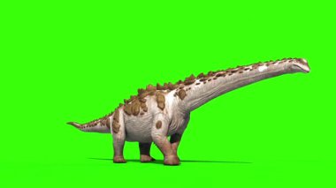 Dinozor Titanosaur Yana Yürürken Yeşil Ekran 3D Canlandırma Jurasik Dünya