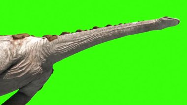 Dinozor Titanosaur Boynunda Yürüyor Yeşil Ekran 3D Animasyon Jurasik Dünya