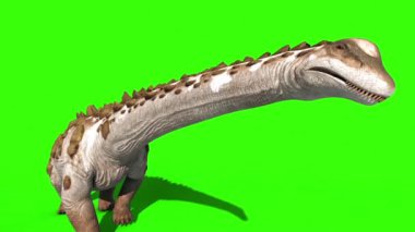 Dinozor Titanosaur Üst Yeşil Ekranda Yürüyor 3D Canlandırma Jurassic World