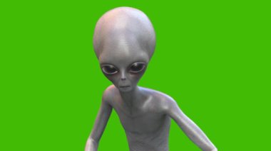 Yeşil Ekran Gri Uzaylı Yürüme Döngüsü 3D Canlandırma CGI