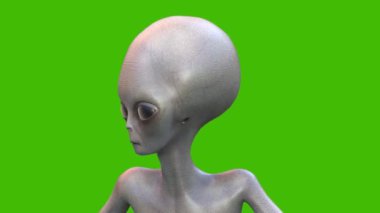 Yeşil Ekran Gri Uzaylı Öndeki Döngü 3D Canlandırma CGI