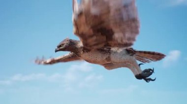 Altın Kartal Gökyüzünde Sinek Avı Ararken 3B Canlandırma 4K