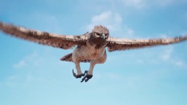 Altın Kartal Gökyüzünde Sinek Avı Arıyor 3D Canlandırma 4K