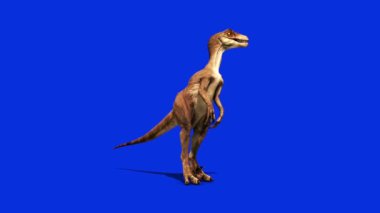 Dinozorlar Velociraptor Jura Dönemi Öncesi Dünya 'ya Bakıyor