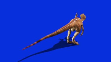 Dinozorlar Velociraptor Jurassic Dünya Öncesi Geçmişe Saldırıyor