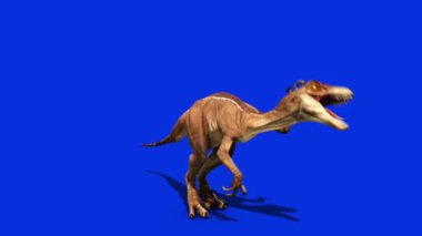 Dinozorlar Velociraptor Dünya Öncesi Jurasik Önüne Saldırıyor
