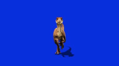 Dinozorlar Velociraptor Öndeki Jura Dönemi Öncesi Dünya