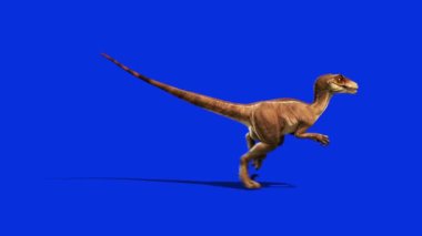 Dinozorlar Velociraptor Tarafı Jurassic World Prehistory