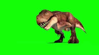 Tyrannosaurus T-Rex Saldırısı Yeşil Ekran 3B Canlandırma