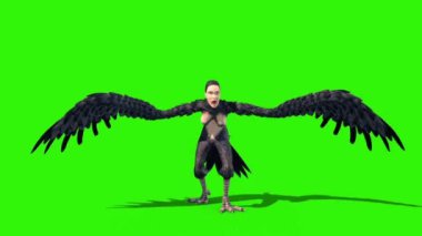 Harpy Mitolojik Canavarı Öl Önden Yeşil Ekran 3D Canlandırma