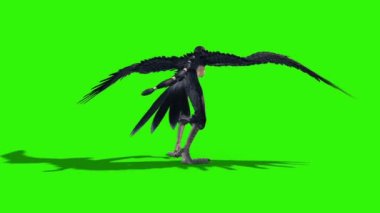 Harpy Mitolojik Canavarı Geri Öl Yeşil Ekran 3D Canlandırma