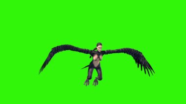 Harpy Mitolojik Canavarı Döngü Yeşil Ekran 3D Canlandırma