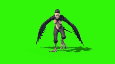 Harpy Mitolojik Canavar Döngüsü Yeşil Ekran Önü 3D Canlandırma