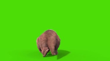 Paramylodon Pleistosen Memeli Dönüşleri ve Kükreyen Yeşil Ekran 3B Canlandırma
