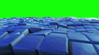 Deniz Küpleri Yeşil Ekran 3D Canlandırma