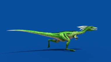Jurassic Dinozor Hızlı Runcycle Mavi Ekran Döngüsü 3B Canlandırma