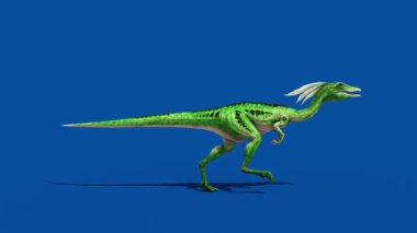 Jurassic Dinozor Runcycle Mavi Ekran Döngüsü 3B Canlandırma