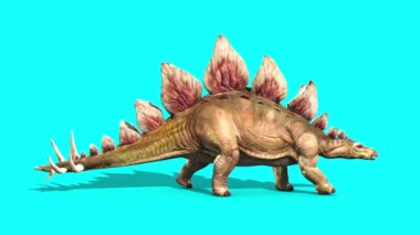 Stegosaurus Yürüyen Dinozorlar Mavi Ekran 3D Canlandırma