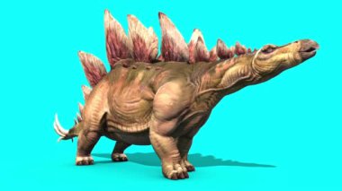 Stegosaurus Dinozorları Mavi Ekran 3B Canlandırma
