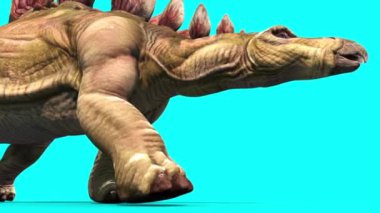 Stegosaurus Yürüyen Dinozorlar Mavi Ekrandan Aşağı 3D Canlandırma