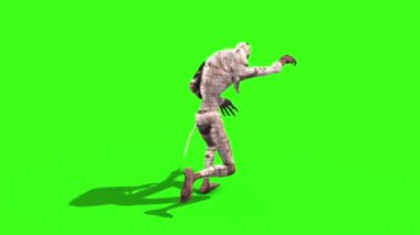 Mumya Döngüyü Yeşil Ekran 3B Canlandırması Çalıştırıyor