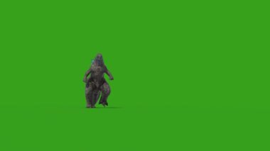 Canavar Godzilla Yeşil Ekran Önünde Yürür 3D Canlandırma