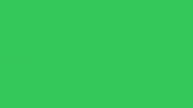 Kirlenmeye Karşı Takım Elbiseli Kişi Yeşil Ekran 3B Canlandırma 4K