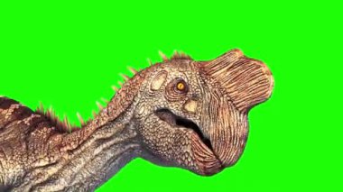 Oviraptor Dinozorları Yeşil Ekrana Saldırdı Jurassic World 3D Canlandırmayı Kapat