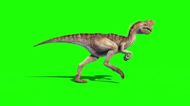 Oviraptor Dinozorları Çalıştırır Yeşil Ekran Jurasik Dünya 3D Görüntüleme
