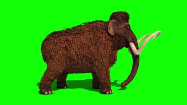 Mamut ÖLÜM Taraf Tarih Öncesi Hayvan Jurasik 3D Rending Yeşil Ekran Kroma Anahtarı