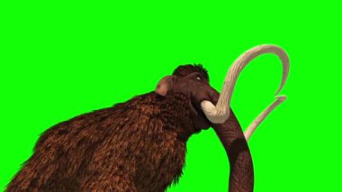 Mamut Saldırıları Tarih Öncesi Hayvanlar İçin Jurasik 3D Yeşil Ekran Kroma Anahtarı Hazırlıyor