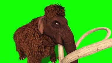 Mamut Yürüyüşü Tarih Öncesi Jurasik 3D Yeşil Ekran Kroma Anahtarı Hazırlıyor