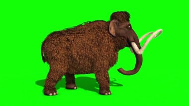 Mamut Yürürken Tarih Öncesi Hayvan Jurasik 3D Rending Yeşil Ekran Kroma Anahtarı