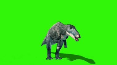 Shantungosaurus Kükreyen Yeşil Ekran Jurasik Dünya 3D Canlandırma
