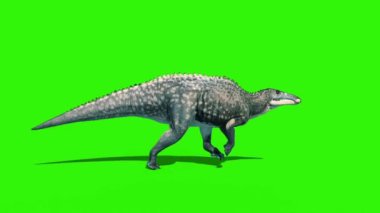 Shantungosaurus Runcycle Yeşil Ekran Teni 1 Jurassic World 3D Canlandırma