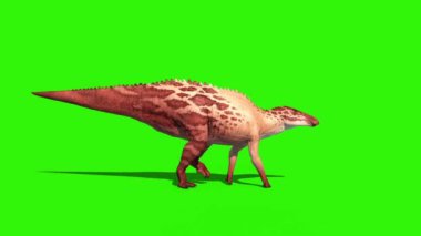Shantungosaurus Yürüme Bisikleti Yeşil Ekran Teni 2 Jurassic Dünya 3 boyutlu Canlandırma