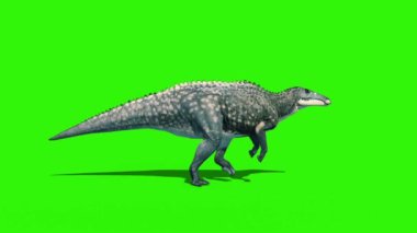 Shantungosaurus Yürüme Bisikleti Yeşil Ekran Teni 1 Jurasik Dünya 3 boyutlu Canlandırma