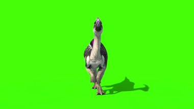 Parasaurolophus Walkcycle Front Jurassic World Dinozorları Yeşil Ekran 3D Canlandırma