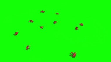 Kum Yeşil Ekran Üst 3 Boyutlu Yengeç Grubu Canlandırması