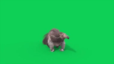 Anteater Yeşil Ekran Saldırıları Önden 3D Canlandırmalar CGI Hayvanlar 4K