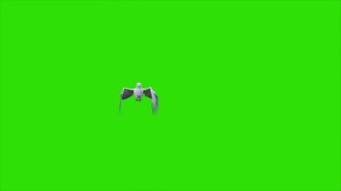 Yeşil Ekran Hipogriff Mitolojik Yaratık Uçuşu 3 boyutlu Canlandırma CGI 4K