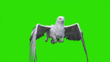 Yeşil Ekran Hipogriff Mitolojik Yaratık Döngüsü 3 boyutlu Canlandırma CGI 4K