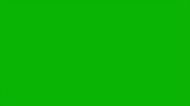 Yeşil Ekran Bıyıklı Balık Grubu CGI 4K 'yi yasaklayan 3D Yüzme Yüzme Yüzme Hayvanı
