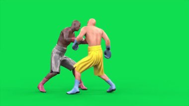 Yeşil Ekran Boksörleri Ringde Dövüş, Şampiyon 3D Canlandırma CGI 4K