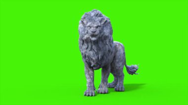 Yeşil Ekran Aslanı Boşta Döngü Önde Hayvanlar 3 boyutlu Canlandırma CGI 4K