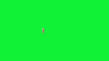 Cougar 3D Önden Çalıştırıyor Hayvanlar Canlandırılıyor Gerçek FUR CGI 4K