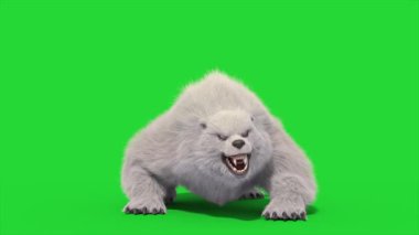 Canavarımsı Kutup Ayısı Yeşil Ekran Ölüyor 3D Canlandırma CGI Hayvanlar 4K